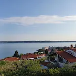 Rosa Порторож