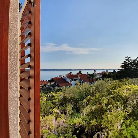 Rosa בפורטורוז