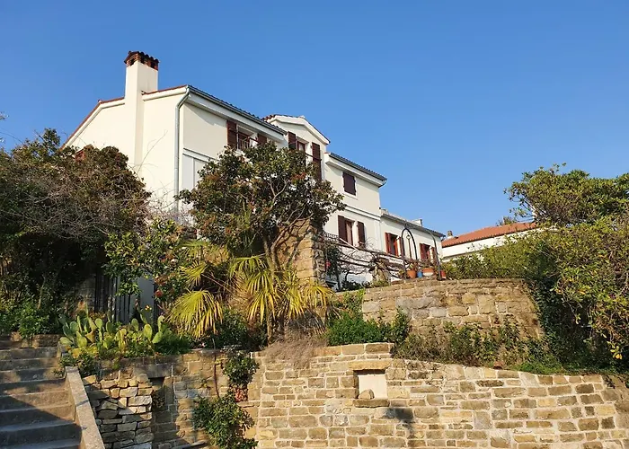 Rosa בפורטורוז