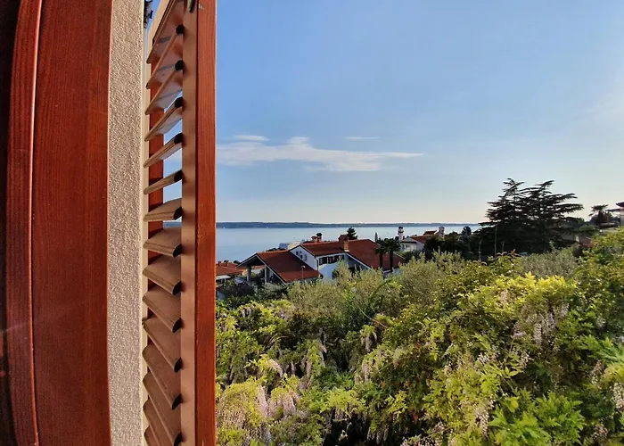 Rosa בפורטורוז