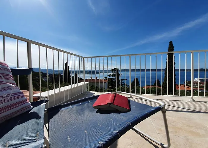 公寓 Rosa 波尔托罗